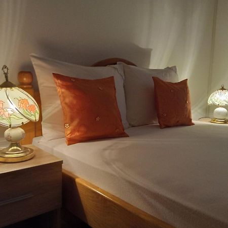 Apartman Andelina Vrnjačka Banja 外观 照片