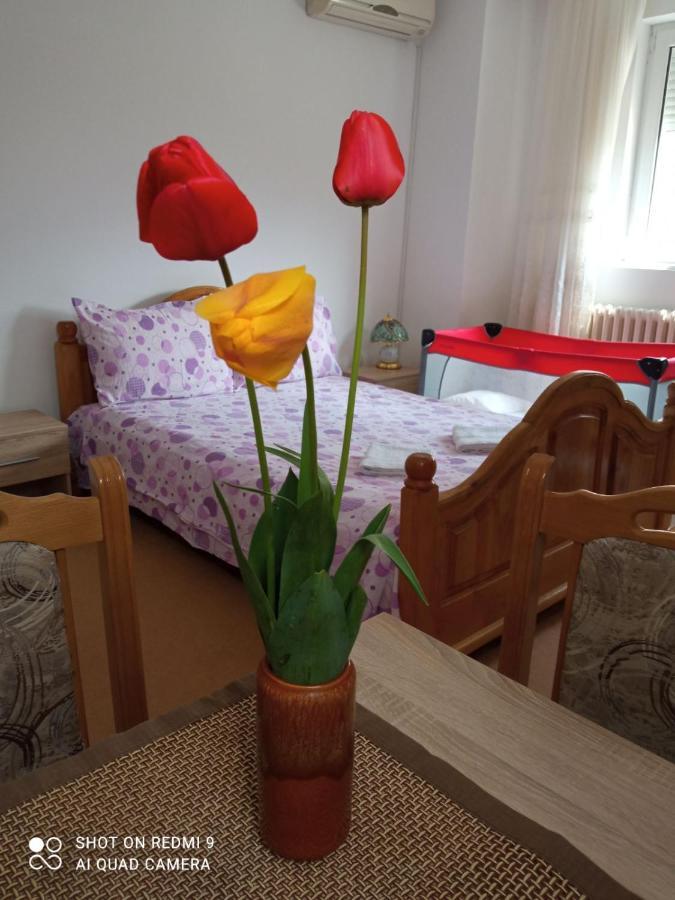 Apartman Andelina Vrnjačka Banja 外观 照片