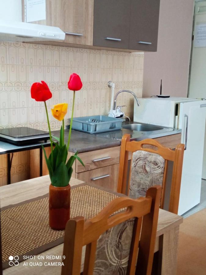 Apartman Andelina Vrnjačka Banja 外观 照片