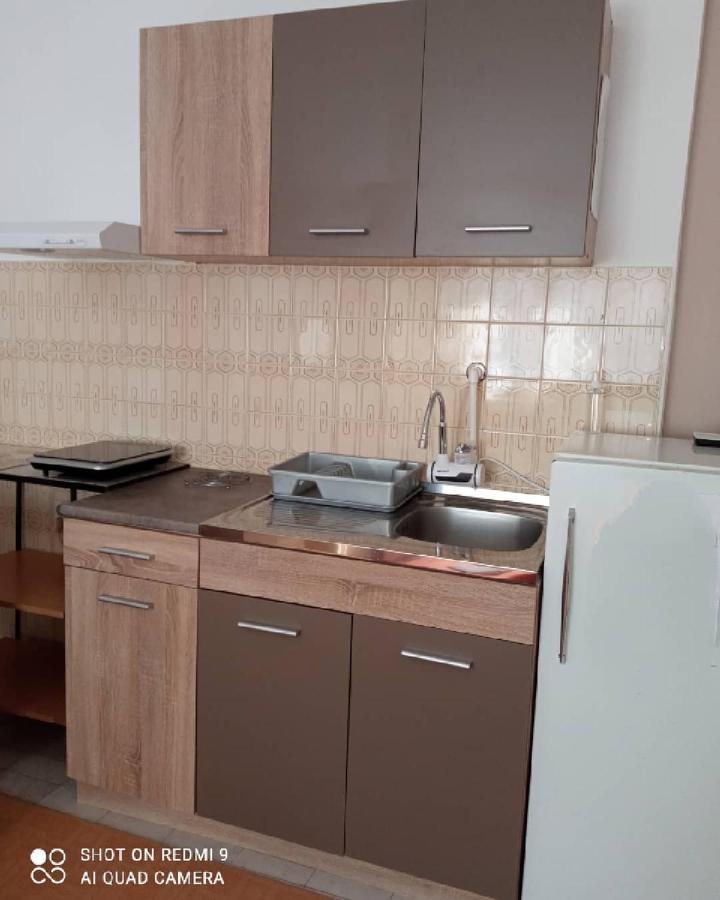 Apartman Andelina Vrnjačka Banja 外观 照片