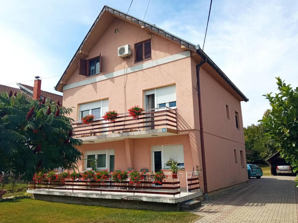 Apartman Andelina Vrnjačka Banja 外观 照片