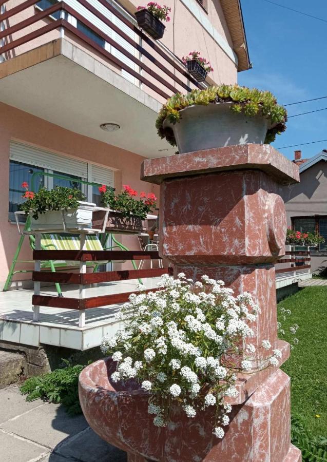 Apartman Andelina Vrnjačka Banja 外观 照片