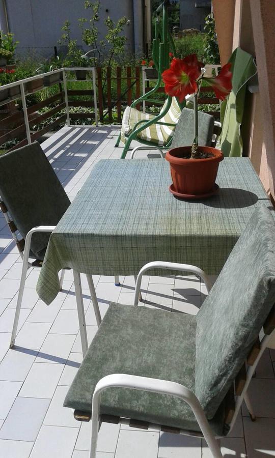 Apartman Andelina Vrnjačka Banja 外观 照片